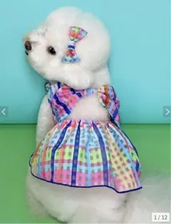 Item thumbnail for item 75858982-7565-4133-b227-13cb03d8a8c2