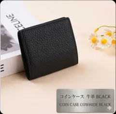 Item thumbnail for item 1d2890c6-ac9f-45dd-a7df-2ff071062e39