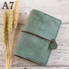 Item thumbnail for item 116a879e-ecaf-452b-b8ad-0e1eef8df0d5