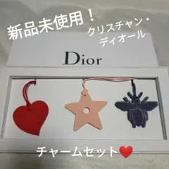 Dior ディオール バックチャーム オーナメント レザー キーホルダー 未使用