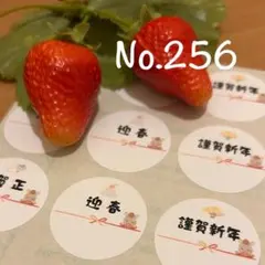 【ゆうゆめ様専用】2セット