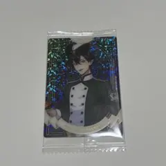 ツイステッドワンダーランド マレウス・ドラコニア メタリックカード