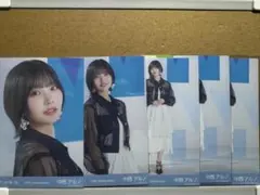 乃木坂46 生写真 中西アルノ コンプ 13周年記念