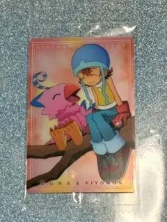 デジモンアドベンチャー 武之内空 ピヨモン カード