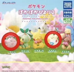 ポケモン ぽかぽかびより2 　プリン トゲピー
