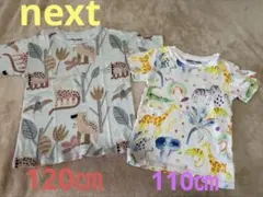 【2枚セット】next 恐竜 Tシャツ 120 110 男の子