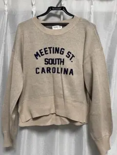 ベージュ プリント入り ニットセーター ONEサイズ