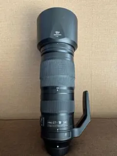 Nikon AF-S NIKKOR 200-500mm f/5.6E EDのサムネイル