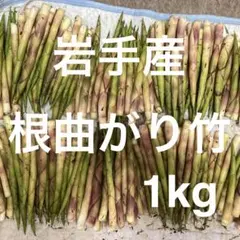 今シーズンラスト‼️ 北海道道南産 根曲がり竹 1kg - メルカリ