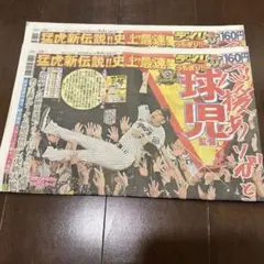 【デイリースポーツ朝刊】阪神優勝記念朝刊2部セット