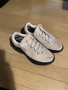 NIKE AIR MAX DN 27.5cm ナイキ エアマックス