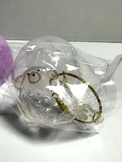 うちの子のけだまだま　犬　プードル