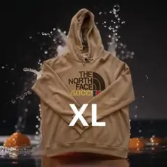 ザノースフェイス パーカー