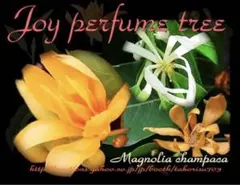 メル☆育(元37757)様 リクエスト 3点 まとめ商品