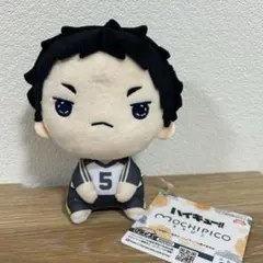 ハイキュー!! もちぴこぬいぐるみ　赤葦京治　ぬいぐるみ　マスコット　赤葦