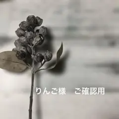 りんごさま　ご確認用