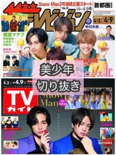 ザテレビジョン 4/9号 切り抜き 美少年