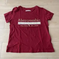 abercrombie & fitch XS スパンコール　ロゴTシャツ