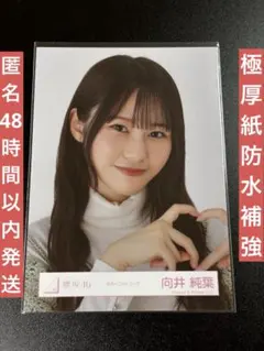 櫻坂46 向井純葉 生写真 カラーニットコーデ ヨリ
