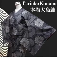 ✨ 【逸品】本場大島紬 7マルキ しつけ糸付き 丈160.5 裄66.5 528