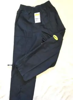 Item thumbnail for item 0dee4fa8-23bc-4f77-ab3e-6f5fb53325c2