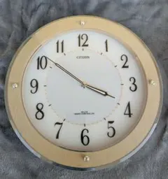 Item thumbnail for item 106ae92a-b0e6-486d-9421-0d096599ea70