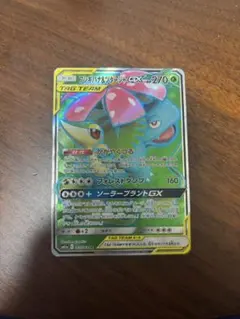 フシギバナ＆ツタージャGX SR SM11a リミックスバウト 065/064