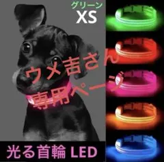 Item thumbnail for item a5a7448b-3d3c-46f7-9e98-c4052768165b