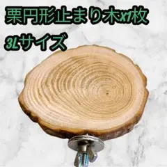 Item thumbnail for item 2be67b00-fa45-4b6d-9b73-93211ceb0d1f