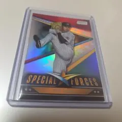 千葉ロッテマリーンズ スポーツカード