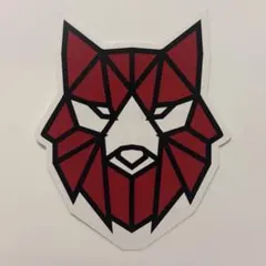 LYKN UNLEASHED CONCERT 落下物 William