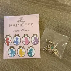 ディズニーストア　プリンセスシークレットチャーム ジャスミン