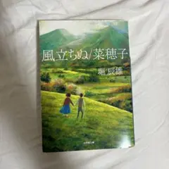 風立ちぬ/菜穂子