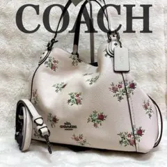 ☆国内未発売】コーチ COACH ショルダーバッグ フルーツ 未使用級 