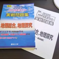 大学入学共通テスト 実戦問題集 地理総合, 地理探究 駿台文庫