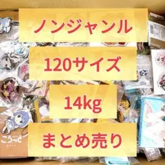 グッズ ノンジャンル 120サイズ 14kg まとめ売り 大量