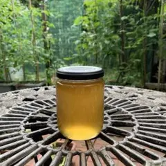 日本蜜蜂　生はちみつ　300gのサムネイル