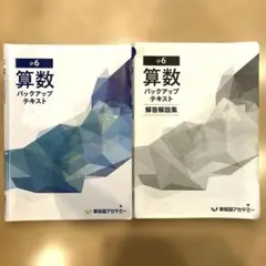 早稲田アカデミー 小6 算数 バックアップテキスト 解答解説 - メルカリ