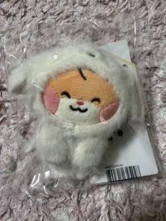 ZB1 ハンビン ビニニ