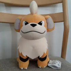 ポケモン　ガーディ