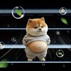 SGL様 リクエスト 2点 まとめ商品