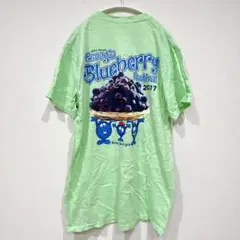 ギルダン Ｔシャツ クルーネック半袖 Ｍ 緑 コットン１００％ ストリートのサムネイル