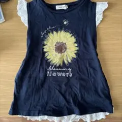 Item thumbnail for item 769319d9-d6c0-4631-9a4e-078a5703931d