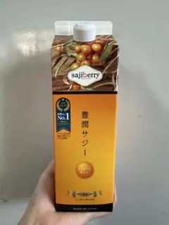 フィネス 豊潤サジー 2本セット 1000ml - メルカリ