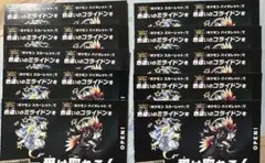 色違いミライドン　色違いコライドン　カード10枚