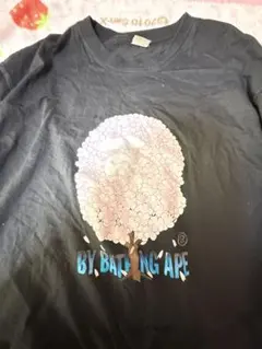 エイプの半袖2XL