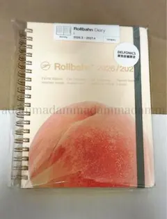 Item thumbnail for item 29682494-1ed9-4a47-aa9a-92177feeb6e7