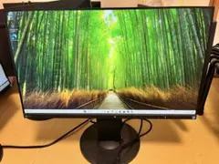 ① EIZO FlexScan EV2450 23.8インチ モニター