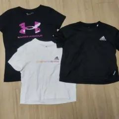 半袖Tシャツ 3枚