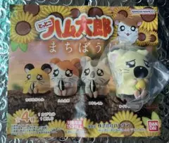とっとこハム太郎 まちぼうけ タイショーくん